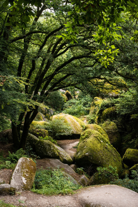 Forêt de Huelgoat