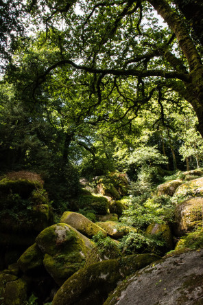 Forêt de Huelgoat