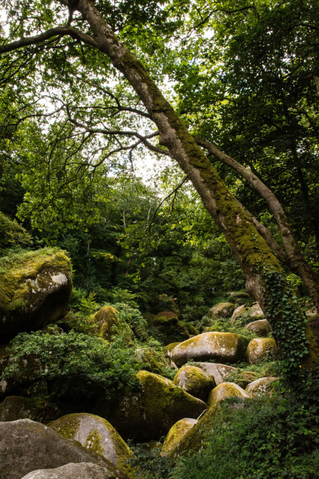 Forêt de Huelgoat