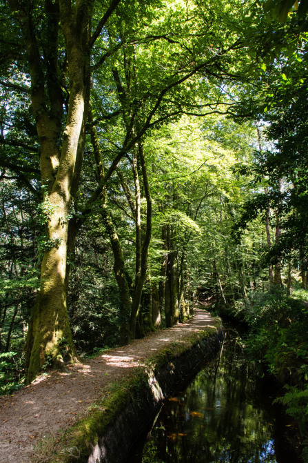 Forêt de Huelgoat