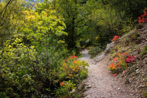 Gorges de Trévans