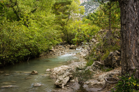 Gorges de Trévans