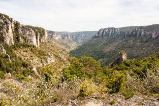 Gorges du Tarn et de la Jonte