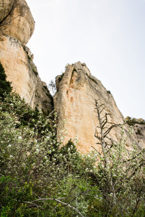 Randonnée sur les corniches du causse Méjean – Côté Tarn