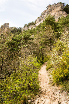 Randonnée sur les corniches du causse Méjean – Côté Jonte