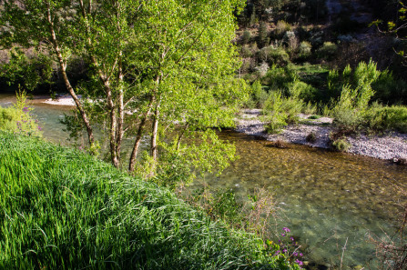 Camping municipal de La Malène