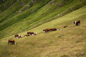 Vallon de la Lenta