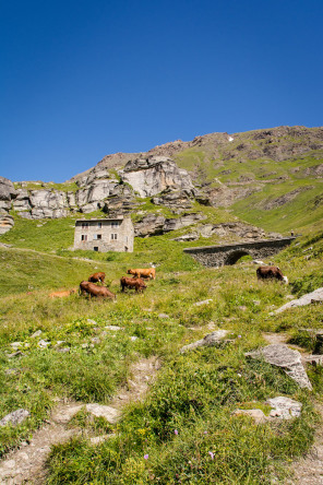 Vallon de la Lenta