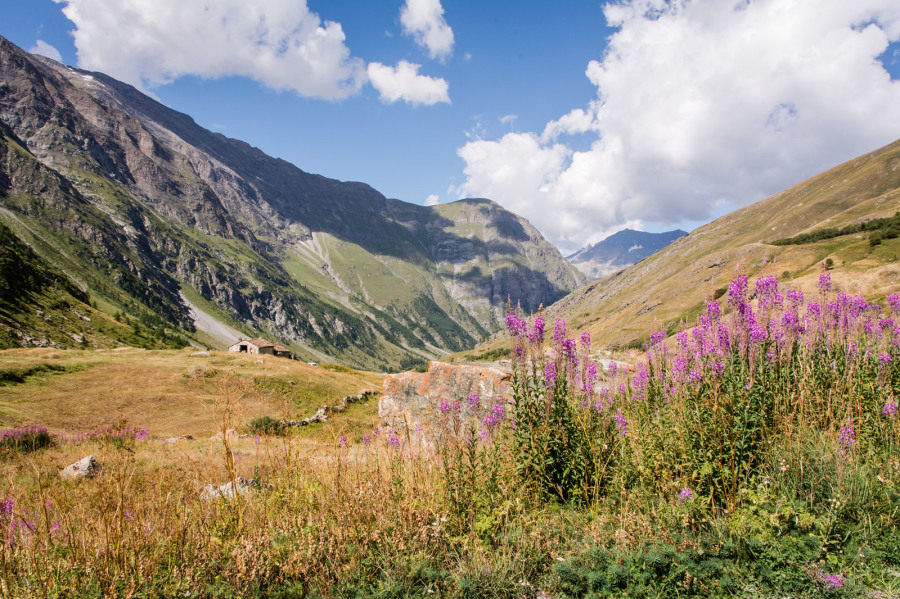 Randonnée du vallon de l'Avérole – Hameau d'Avérole