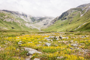 Vallon de Prariond