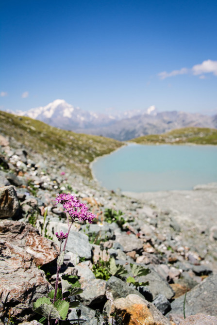 Randonnée du lac de Riondaz – Le lac