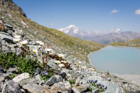 Randonnée du lac de Riondaz – Le lac