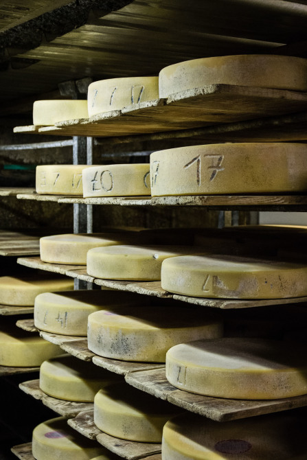 Visite de la ferme de l'Adroit