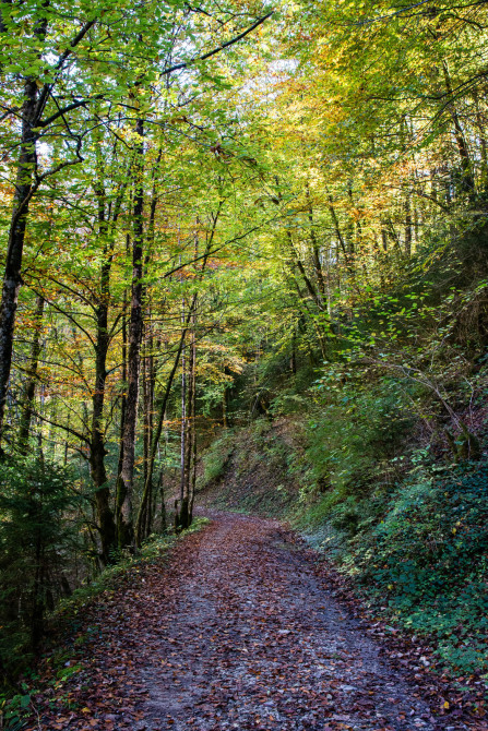 Gorges du Flumen