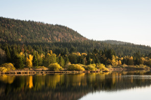 Lac de Bellefontaine