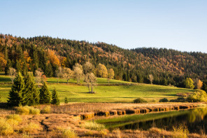 Lac de Bellefontaine