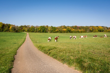 Sur les routes du Haut-Jura...