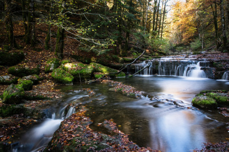 Cascades du Hérisson