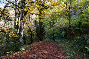 Gorges de l'Abîme