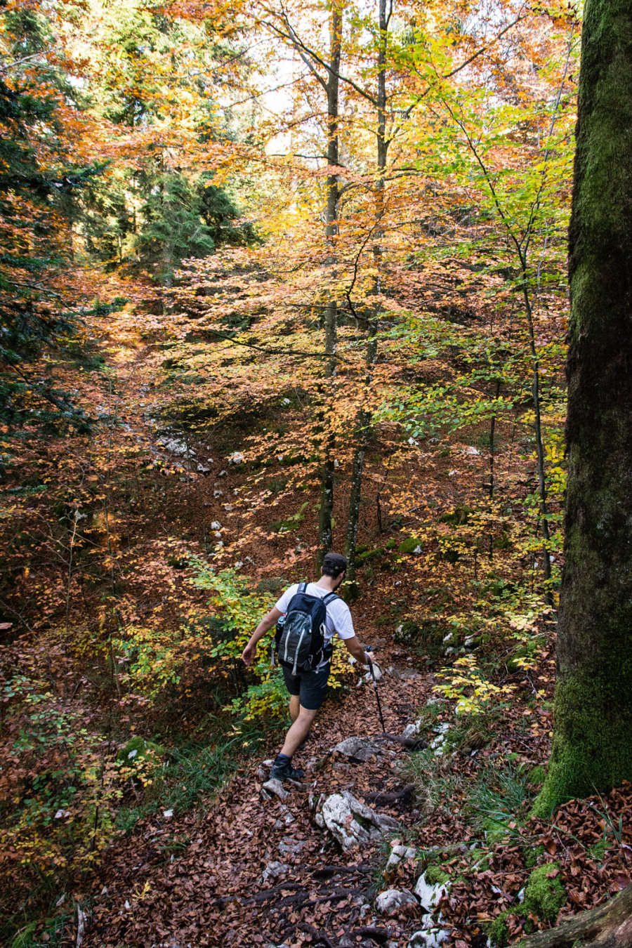 Randonnée des 4 lacs – Descente après le bélvédère des 4 lacs