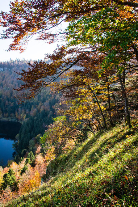 Lac de Bonlieu vu depuis le belvédère de la Ronde