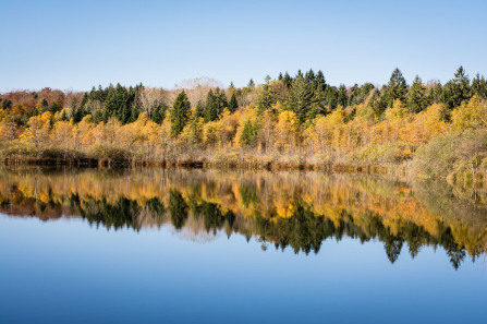 Lac de Bonlieu