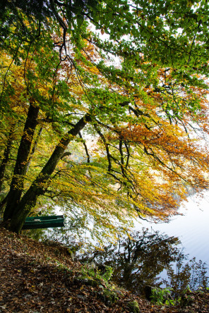 Lac de Bonlieu