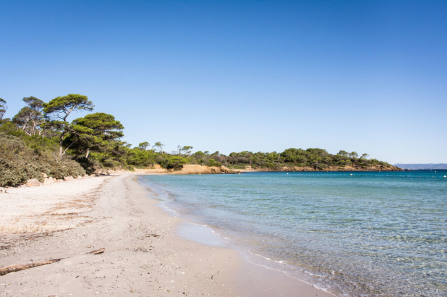 Porquerolles – Anse du Bon Renaud