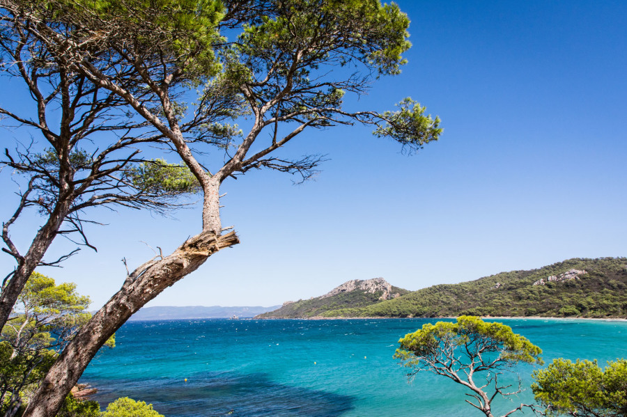 Porquerolles – Plage de Notre-Dame