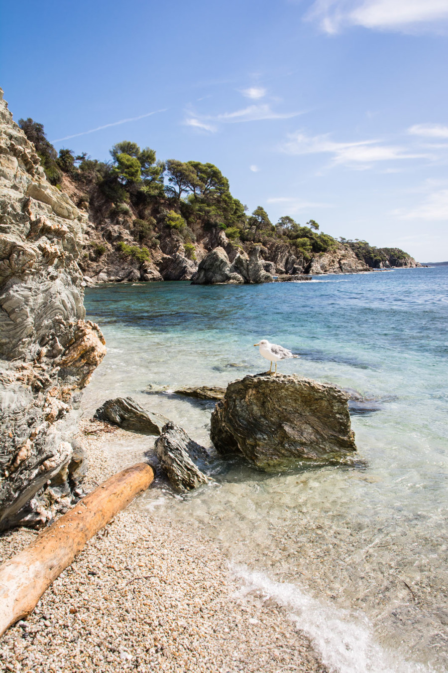 Presqu'île de Giens – Plage des Darboussières