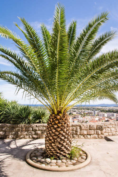 Hyères – Vue depuis le castel Saint-Claire