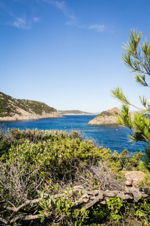 Port-Cros – Baie de La Palud