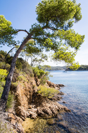 Port-Cros – Baie de Port-Man