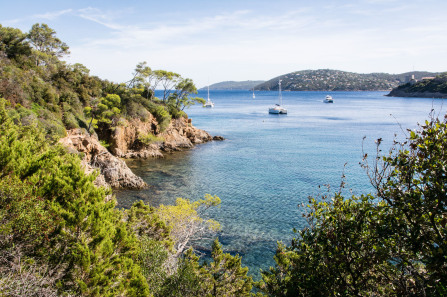 Port-Cros – Baie de Port-Man