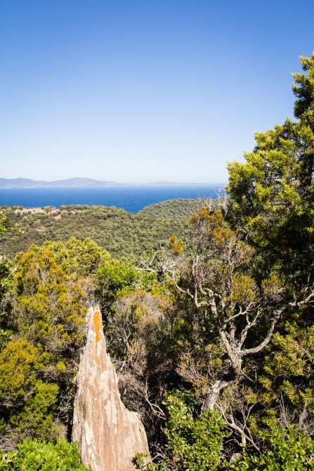 Port-Cros – Vue depuis le mont Vinaigre