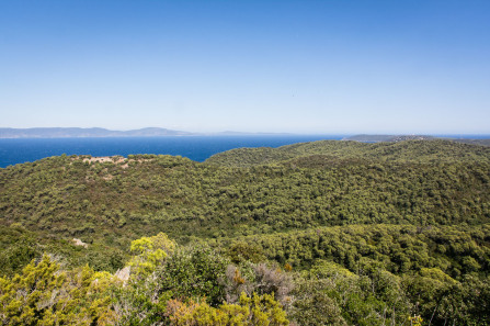 Port-Cros – Vue depuis le mont Vinaigre