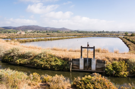 Hyères – Vieux Salins