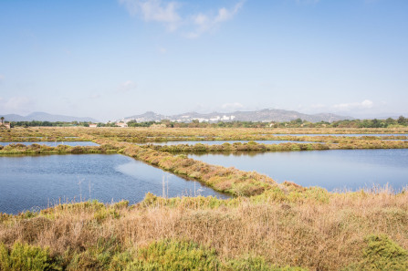 Hyères – Vieux Salins