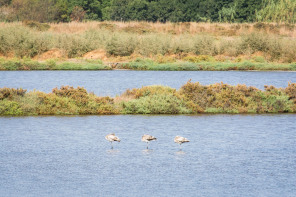 Hyères – Vieux Salins