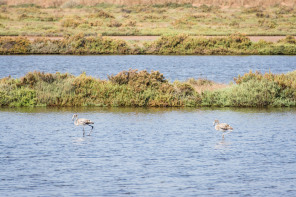 Hyères – Vieux Salins