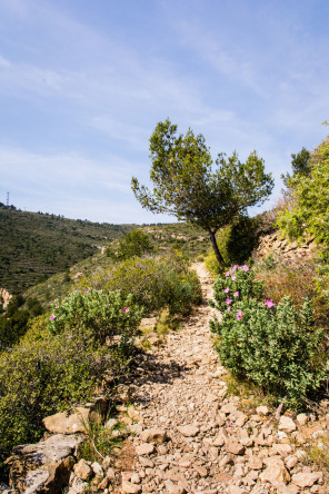 Chemin du Sémaphore