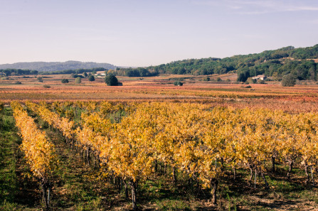 Quelque-part non loin de La Roque-sur-Cèze