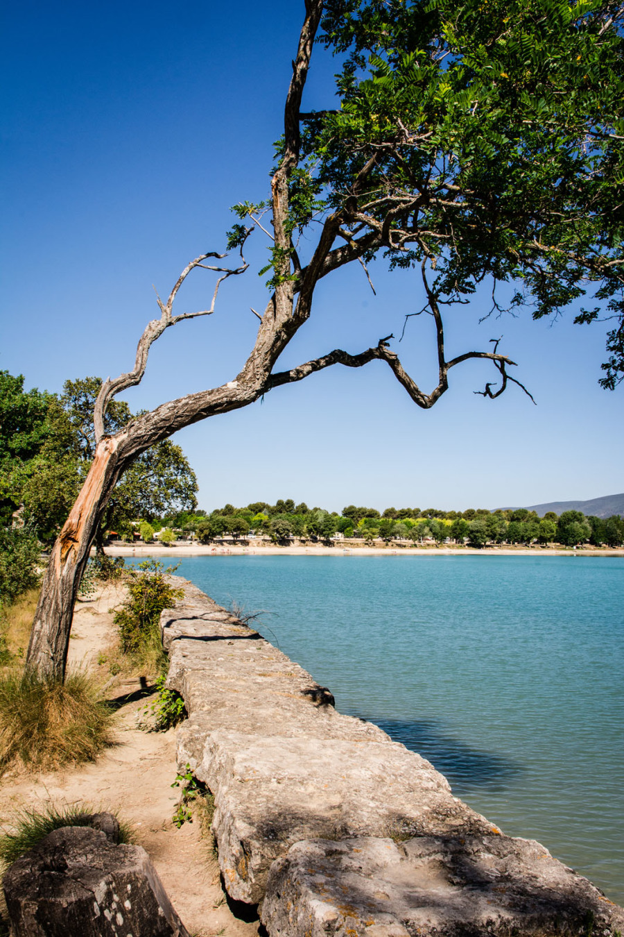 L'Etang de La Bonde  Luberon Sud Tourisme