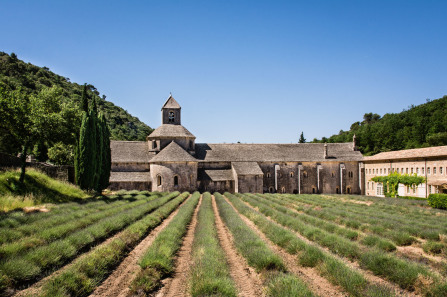 Gordes – Abbaye de Sénanque