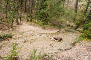 Source du Mirail