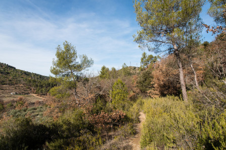 Randonnée au-dessus de Corbières-en-Provence