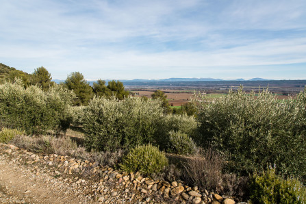 Randonnée au-dessus de Corbières-en-Provence