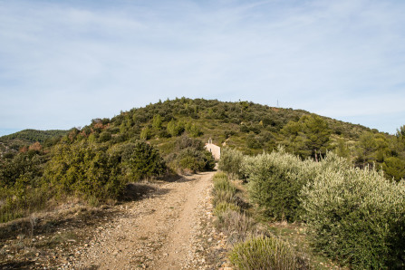 Randonnée au-dessus de Corbières-en-Provence