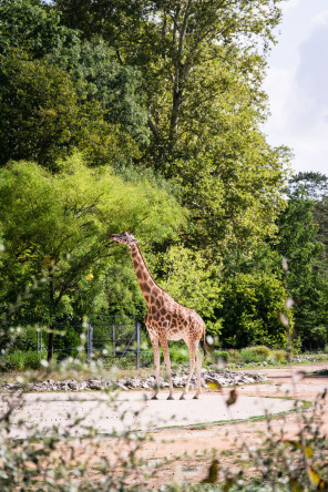 Parc de la Tête d'Or