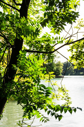 Parc de la Tête d'Or